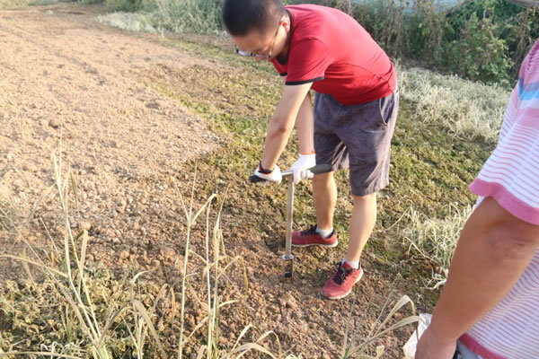 现场取土——测土配方