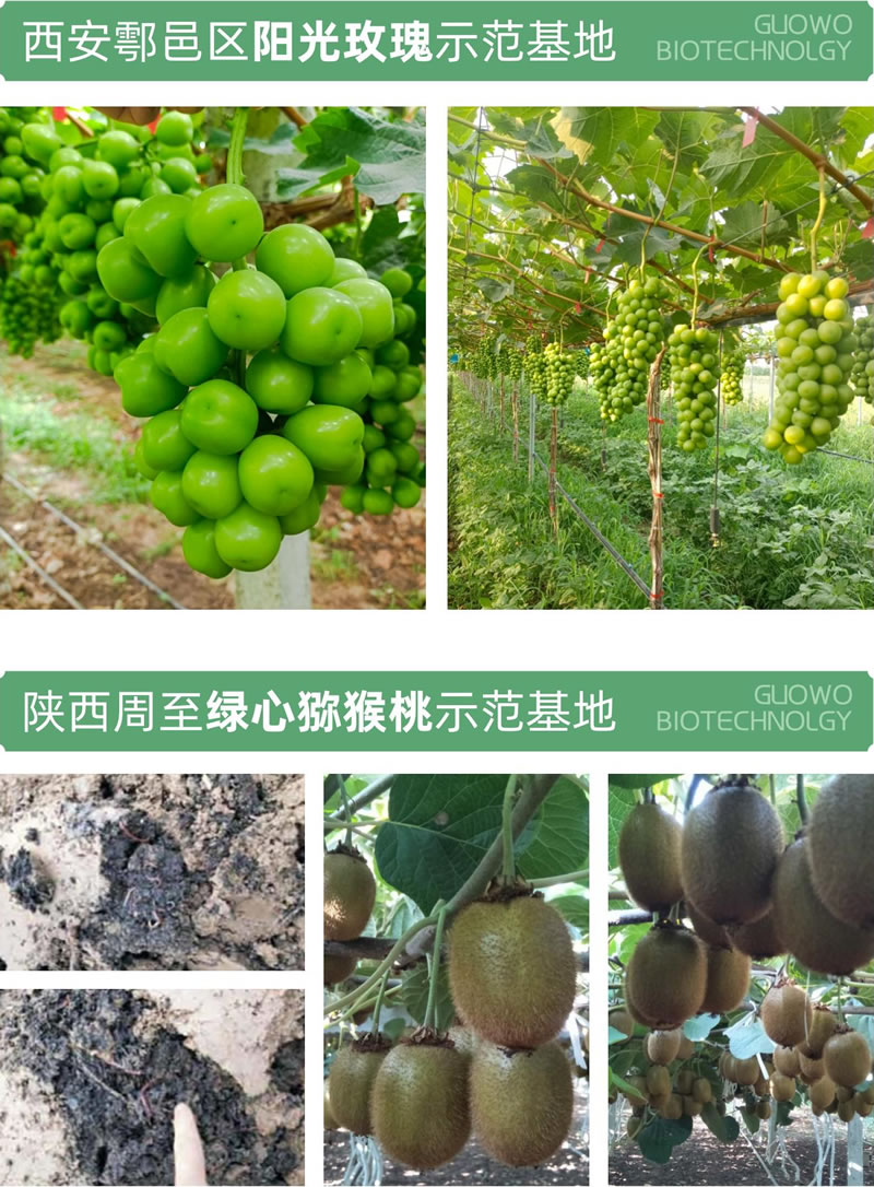 示范基地