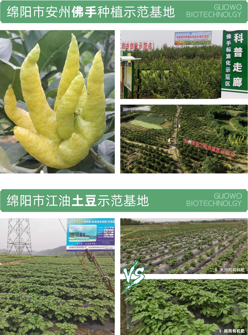 示范基地